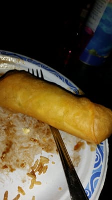 Biggest spring roll I've ever seen!