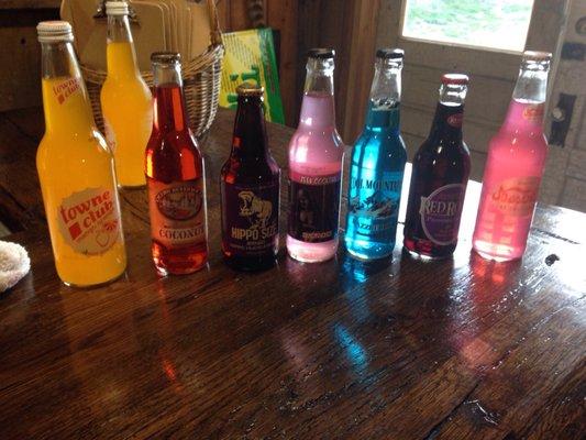 Soda Tasting