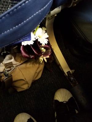 Even took my flowers home on the plane a week later!