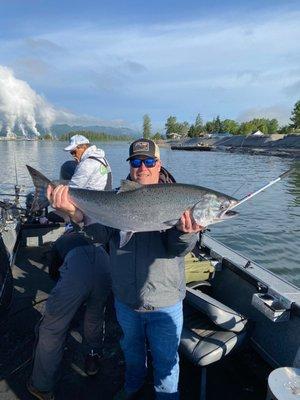 Chinook Salmon