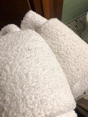 Towels with bugs on them!