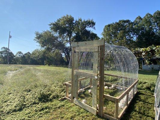 Chicken tractor