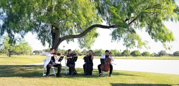 Outdoor Ceremony