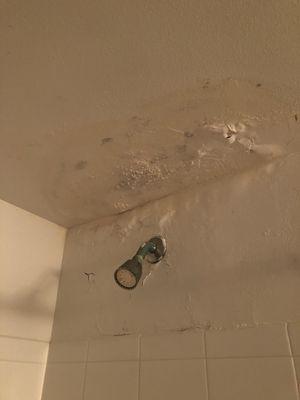 Black mold and leak in guest bathroom