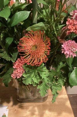 This Pincushion Protea was a gorgeous surprise!