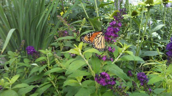 Beautiful time of year for family and friends to connect with nature at Straders garden center Riverside dr.