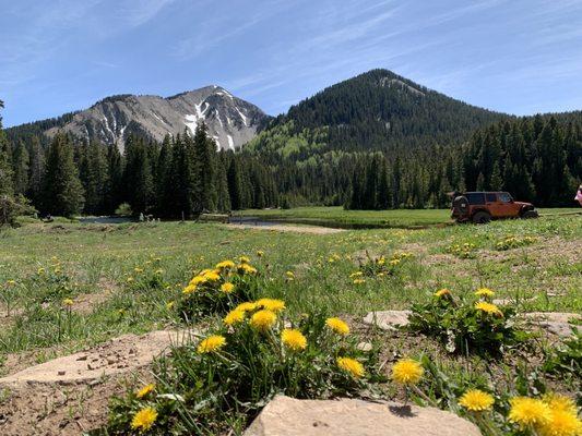 This is up in the LaSalle mountains. By medicine lake.