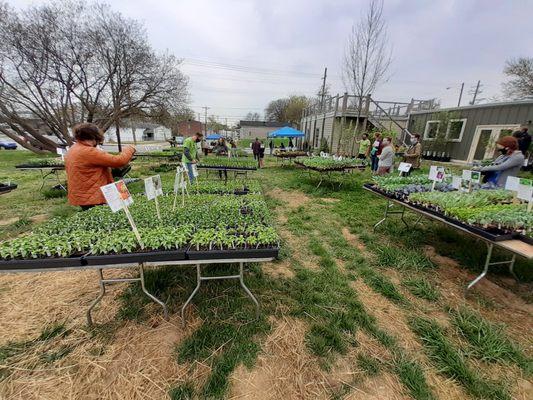 Louisville Grows