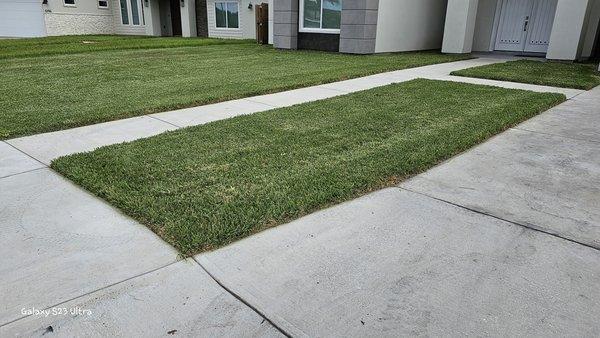 Semilla de Luz Lawn Care