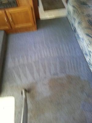 We cleaned carpet from an RV that is used for hunting, camping and fishing and has never been cleaned before.