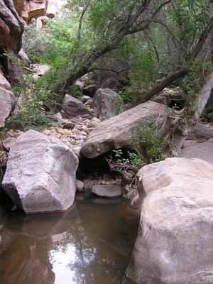 The creek that runs through Fern Canyon.  I have never seen it dry.