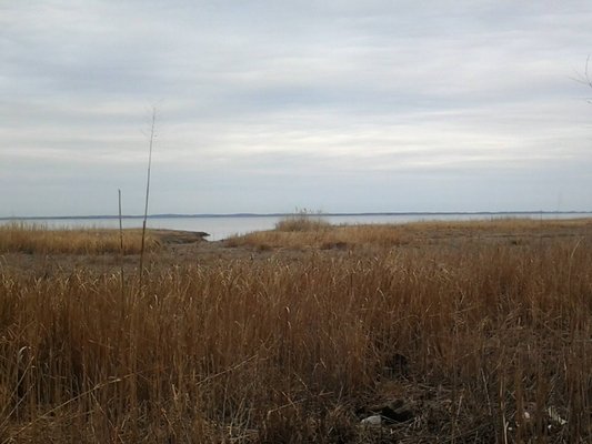 The Delaware Bay