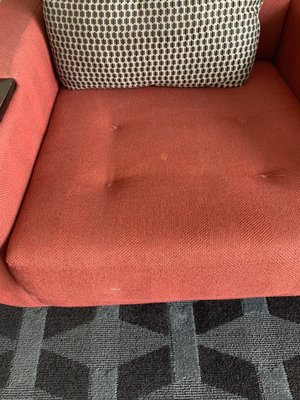 Stained chair in LR