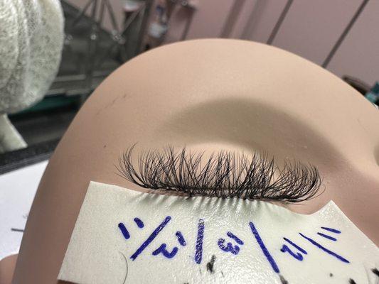 Volume Lash Extensions