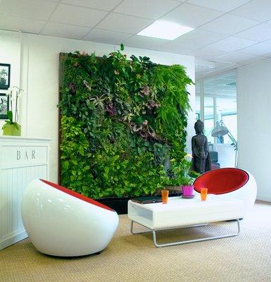 Artificial Living wall ideas