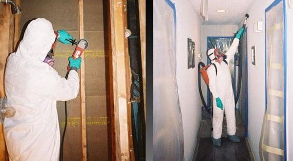 After mold killer is applied, we grind mold off, followed by a second coat of mold killer.