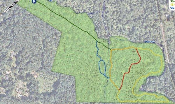 Palmer Arboretum trail map