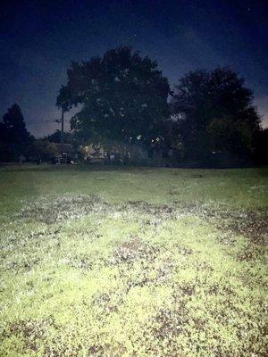 Field behind Mission SF Sonoma. If you look in the middle at the bottom of the tree, there's a mist.