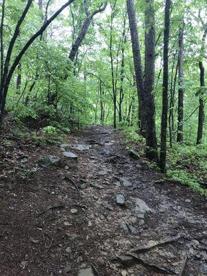 Example of the trail