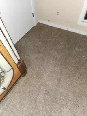 Trinity Carpet Cleaning