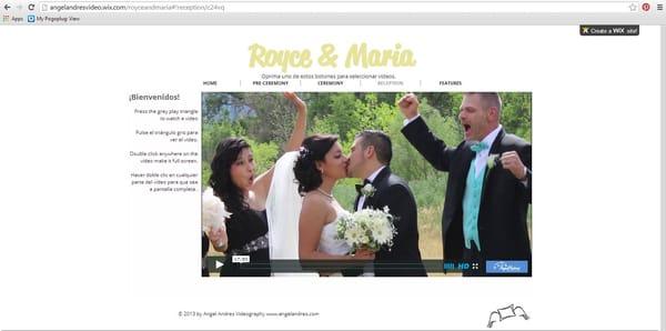 I now offer customized wedding video websites and hosting! It's your DVD on a password protected website to easily share. :-)