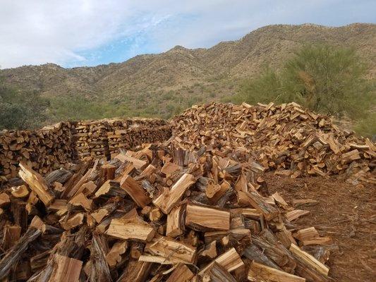 We supplied for season 
Shaggy Bark Juniper, Pinion pine,Alligator Juniper, Oak


Only Home Delivery This Year.