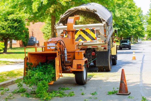 Disposing of tree foliage during tree trimming.