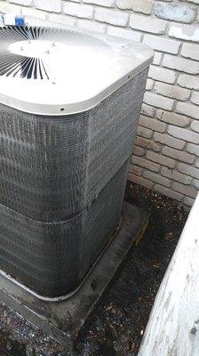 Recently cleaned condenser coil.