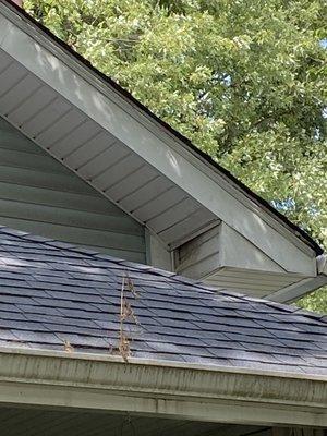 Raccoon damage to soffit