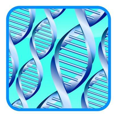 DNA Paternity Testing Centers