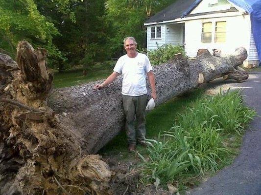 This tree fell during a storm. We removed all of it.