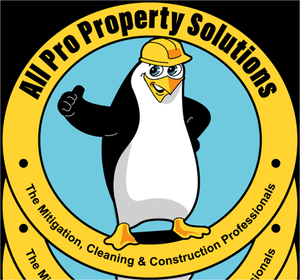 All Pro Property Solutions LLC