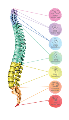 Spinal Flow Techniqu is based on 7 gateways of the spine that relate to the different organs and areas of our bodies, and 33 access points.