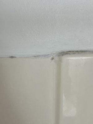 More shower mold