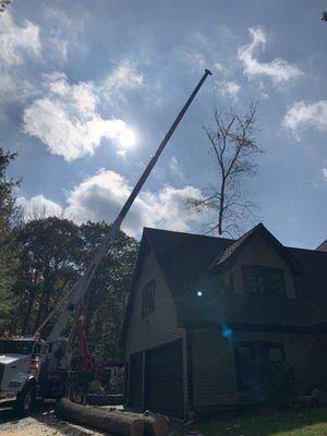 Large Oak removal behind a house with the use of a crane