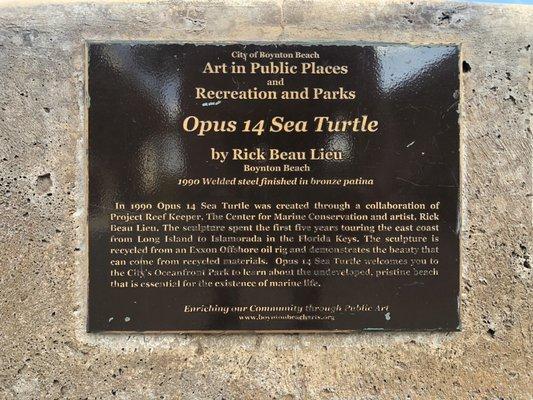 Opus 14 Sea Turtle