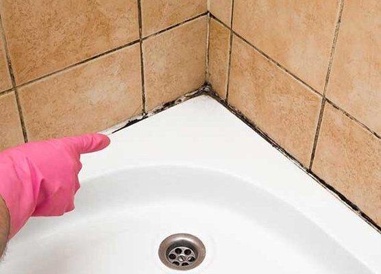 Mold is hazardous to health