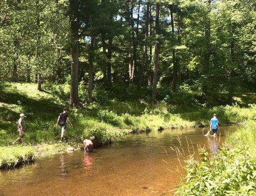 Catching frogs in creek