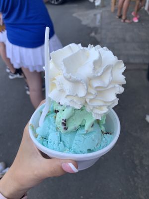 Cookie Monster and mint chip