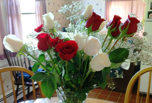 Great price on 2 dozen first rate roses