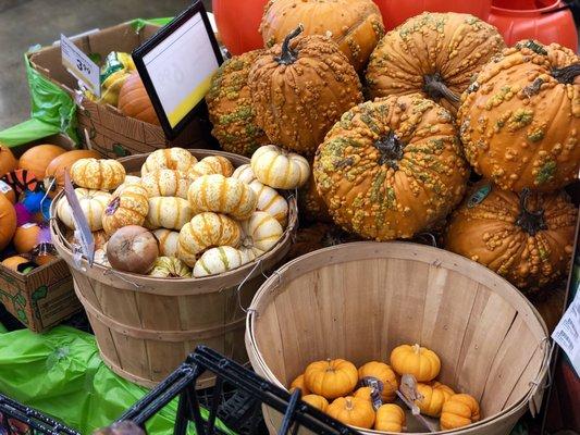 Pumpkins @ Smart & Final- La Cienega