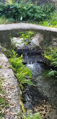 Stream and Bridge