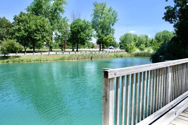 Fishing pond.