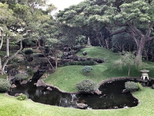 Japanese garden behind Jefferson: one of the nicest "secret" spots on campus.