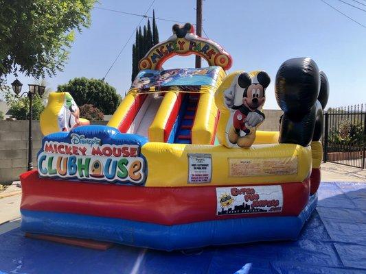 Mickey Park Waterslide