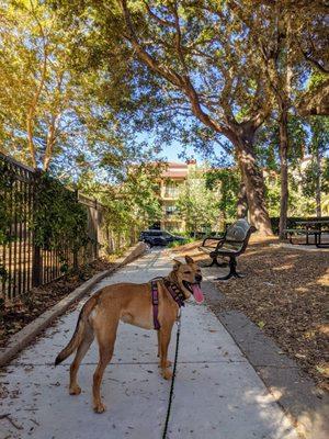 City Hall Park