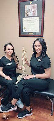 Organic Chiropractic  Care