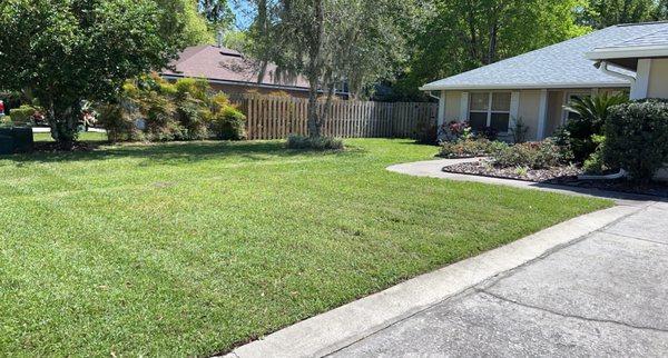 Lawn landscaping and cut