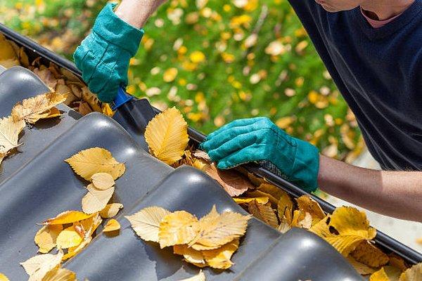 Gutter Cleaning Expert