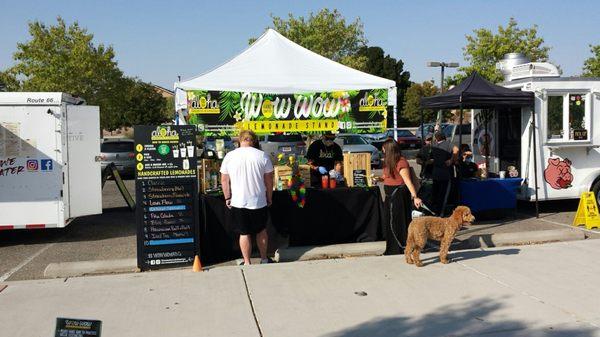 The dog doesn't like lemonade I guess.